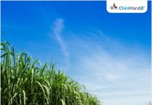 Zimbabwe aims to double sugar production and boost power supply by 2035