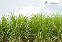 किसानों के गन्ने की अधिकतम खरीद व समय पर भुगतान सुनिश्चित करें : डीएम