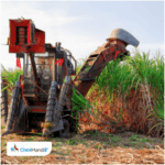 કર્ણાટક: બેલાગાવીમાં શેરડી કાપવાની મશીન અકસ્માતમાં બે મહિલાઓના મોત