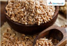 पंजाब: लुधियाना जिले में 3 लाख लाभार्थियों को ई-केवाईसी अधूरे होने के कारण सब्सिडी वाला गेहूं खोने का खतरा