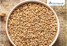 Uttar Pradesh Sees record wheat procurement, over ₹2,045 crore paid to farmers