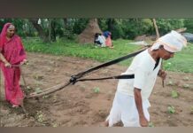 Maharashtra: 76-year-old farmer ploughs farm manually for 10 years due to financial hardship