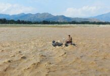 Monsoon rains claims 111 lives across Pakistan