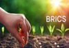 BRICS Innovation cultivates global sustainable agriculture future