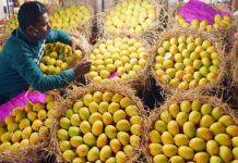 First eNAM trade between JK and Maharashtra rolls out in Pune, marks a milestone in digital agriculture