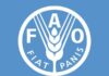 World food prices nearly steady in August: FAO Report