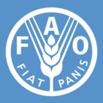 FAO फ़ूड प्राइस इंडेक्स नवंबर में लगातार तीसरे महीने गिरा