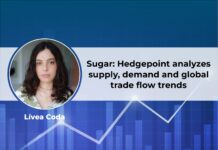 Sugar: Hedgepoint analyzes supply, demand and global trade flow trends