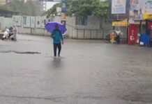 IMD issues red alert: Non-stop rain drenches Mumbai, schools and offices shut