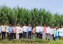 लातूर : ट्वेंटीवन शुगर्समार्फत व्हीएसआय शास्त्रज्ञांच्या उपस्थितीत ऊस विकास कार्यशाळा संपन्न