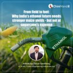 From field to fuel: Why India’s ethanol future needs stronger maize yields—but not at sugarcane’s expense