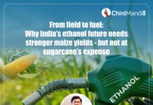 From field to fuel: Why India’s ethanol future needs stronger maize yields—but not at sugarcane’s expense