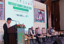 Northeast Bamboo Conclave 2025 sets strategic agenda for a sustainable bamboo economy
