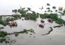 Floods ravage Pakistan’s breadbasket, over 2.2-million-acre farmland hit