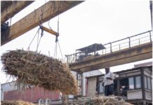 Uttar Pradesh: Bijnor sugar mills set to begin crushing season in first week of November