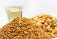 अमेरिकी अनाज एवं जैव उत्पाद द्वारा परिषद भारत को एथेनॉल उपोत्पाद डीडीजीएस निर्यात पर विचार शुरू