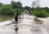 Rajasthan: Heavy rains in Dausa cause canals to overflow, relief teams on alert