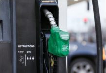 E10 पहल: इंडोनेशिया ने एथेनॉल उत्पादन को बढ़ावा देने के लिए 920,000 हेक्टेयर भूमि की पहचान की