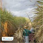 अहिल्यानगर : उसाला प्रति टन साडेतीन हजार रुपये दराच्या मागणीसाठी जिल्हाधिकारी कार्यालयासमोर आंदोलन