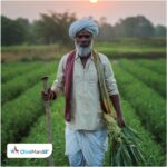 पंतप्रधान 19 नोव्हेंबर 2025 रोजी पीएम-किसान योजनेचा 21वा हप्ता जारी करणार