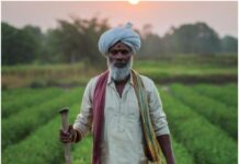 पंतप्रधान 19 नोव्हेंबर 2025 रोजी पीएम-किसान योजनेचा 21वा हप्ता जारी करणार