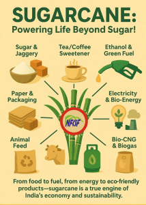 Cooperative sugar mills told to go social: Ministry calls for daily engagement with farmers