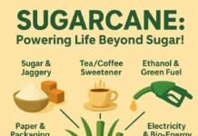 Cooperative sugar mills told to go social: Ministry calls for daily engagement with farmers