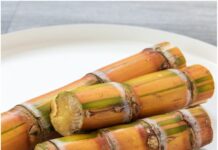 Maharashtra government lifts sugarcane export ban