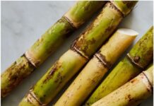 बिहार : गन्ना उद्योग सचिव कि किसानों से सरकार के द्वारा चलाई जा रही योजनाओं का लाभ लेने की अपील