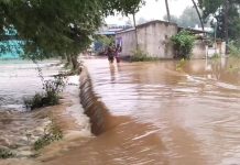 Tamil Nadu: Heavy rain triggers lake overflow in Vellore district