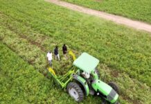 Gujarat’s digital agriculture drive brings transparency and growth for farmers