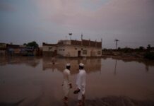 Heavy rains forecast in Punjab till Oct 7 as 27-district flood survey progresses: PDMA