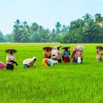 South Indian Bank and Arya.ag join hands to deliver Rs 250 crore in agri credit
