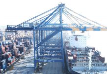 Fitch upgrades Adani Ports outlook to ‘Stable’ as group shows diversified funding sources despite US indictment