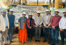 NSI develops natural clarificant-based sugar production process