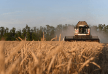 Pakistan’s agriculture sliding into crisis amid soaring production costs and policy neglect