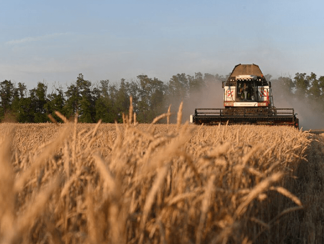 Pakistan Agriculture image