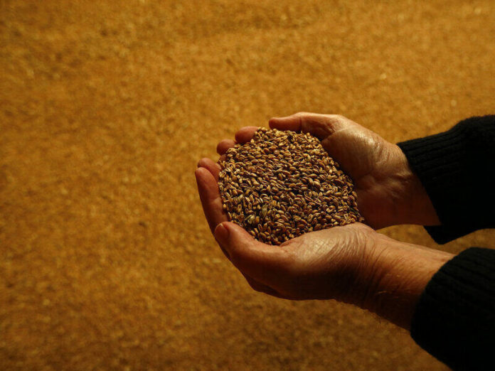 ani-brics_emerges_as_new_global_hub_of_food_security