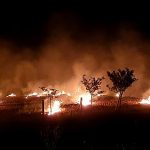 CAQM issues notice to Fatehabad DC for failing to curb stubble burning in Haryana