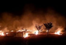 CAQM issues notice to Fatehabad DC for failing to curb stubble burning in Haryana