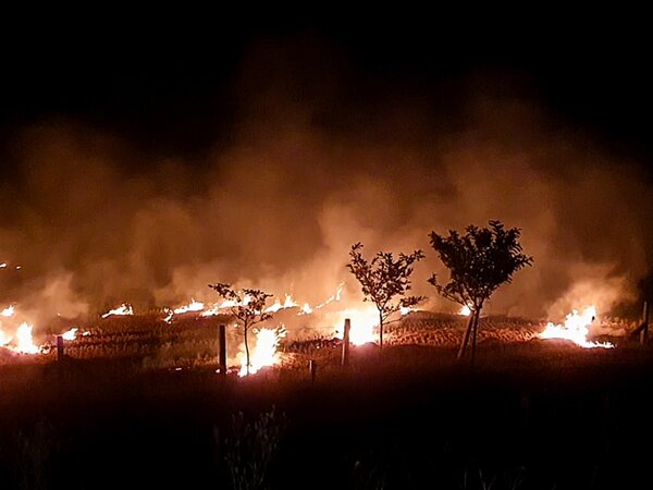 Incident of stubble burning seen in a field in Kaithal, Haryana