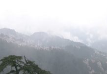 Himachal records wettest October in 20 years; receives 173% above normal rainfall: IMD