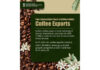 India’s coffee exports hit USD 1.8 billion in FY25, continues four-year growth streak