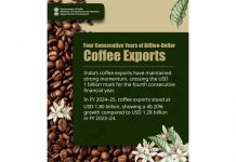 India’s coffee exports hit USD 1.8 billion in FY25, continues four-year growth streak