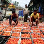 India’s wholesale inflation likely turned negative in October: Report
