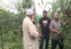 J-K: Rajouri farmers make major shift from traditional cereal crops to ultra-high-density fruit farming under horticulture revolution