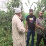 J-K: Rajouri farmers make major shift from traditional cereal crops to ultra-high-density fruit farming under horticulture revolution