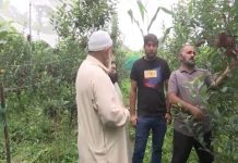 J-K: Rajouri farmers make major shift from traditional cereal crops to ultra-high-density fruit farming under horticulture revolution