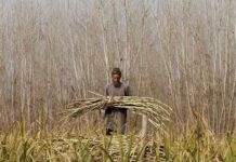 Pakistan: Sindh sugarcane farmers crushed by government inaction