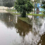 Tamil Nadu: Heavy rainfall triggers waterlogging in several parts of Thoothukudi